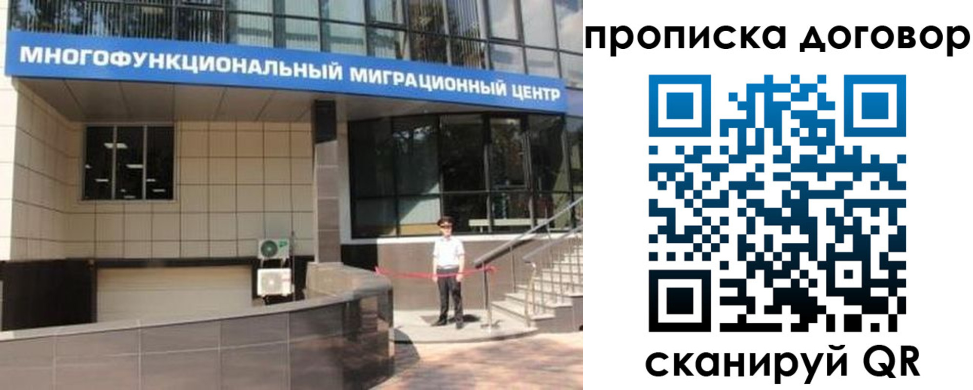 пропишу в квартире в Светлогорске