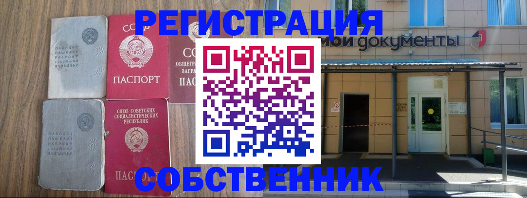 пропишу в квартире в Светлогорске